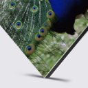 Alubond_Direct_3