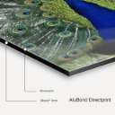 Alubond_Direct_4
